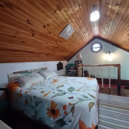Casa D'alegria Madeira Island Feriehus Ribeira Brava