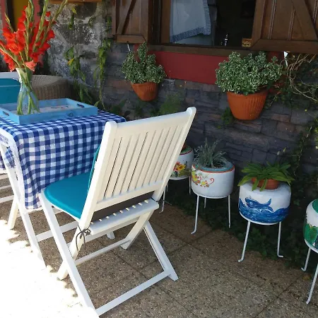 Casa D'alegria Madeira Island