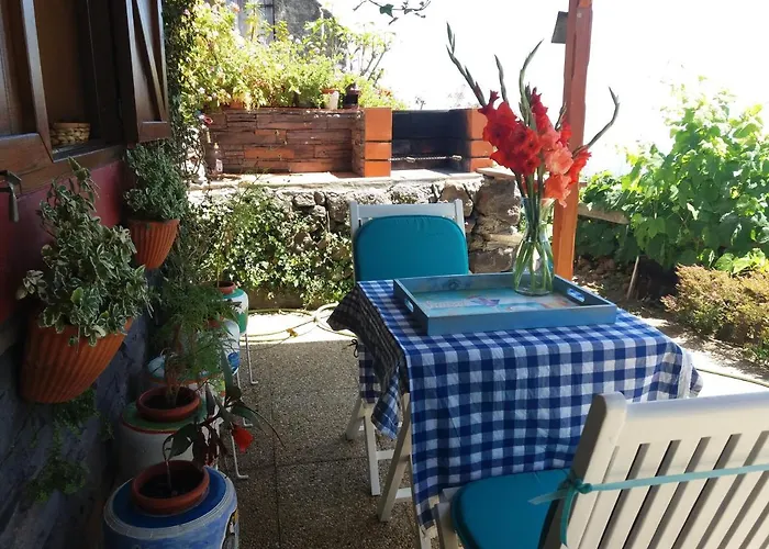 Casa D'alegria Madeira Island Feriehus Ribeira Brava