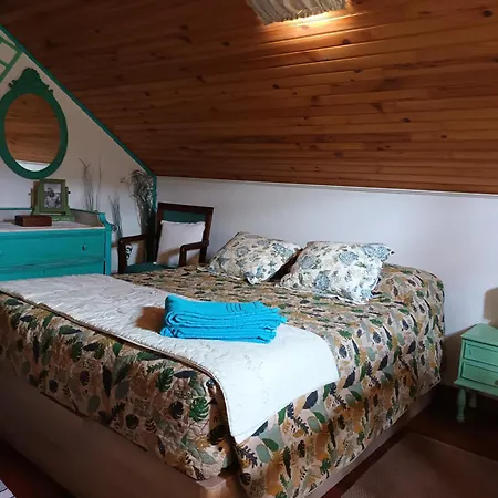 Casa D'alegria Madeira Island Рибейра-Брава