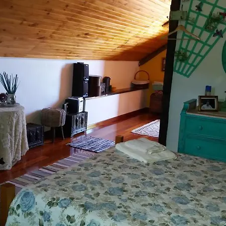 Casa D'alegria Madeira Island 度假居 里贝拉布拉瓦