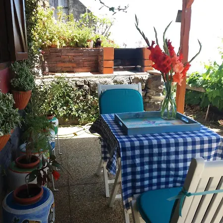 Casa D'alegria Madeira Island Semesterbostad Ribeira Brava