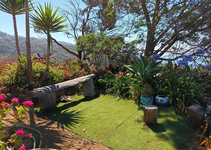 Casa vacanze Casa D'alegria Madeira Island